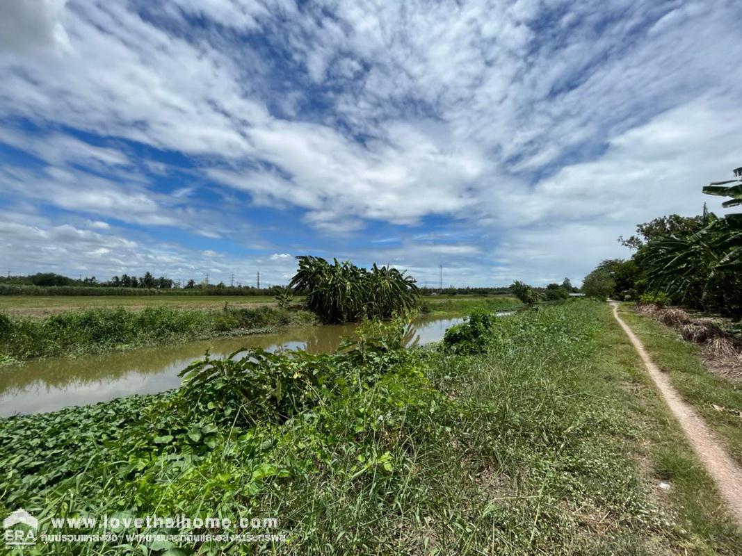ขายที่ดิน ซอยวัดยางงาม56 อ.ปากท่อ จ.ราชบุรี พื้นที่8-3-59ไร่ ขายถูกสุดๆ เป็นที่ดินติดคลองสวย เข้ามาประมาณ 200 เมตร ใกล้ที่ว่าการอำเภอปากท่อ