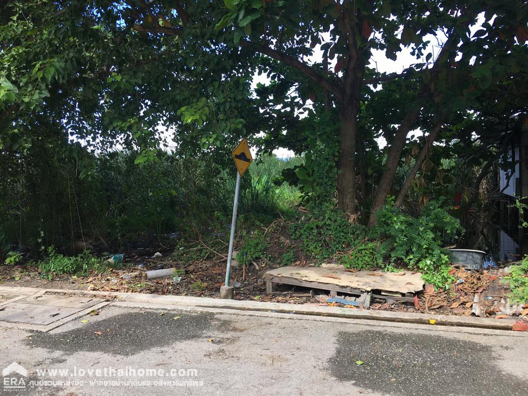 ขายที่ดิน รังสิต-คลอง2 ถนนรังสิต-นครนายก55 พื้นที่59ตรว. ขายถูกกว่าราคาประเมิน ใกล้ฟิวเจอร์พาร์ค รังสิต