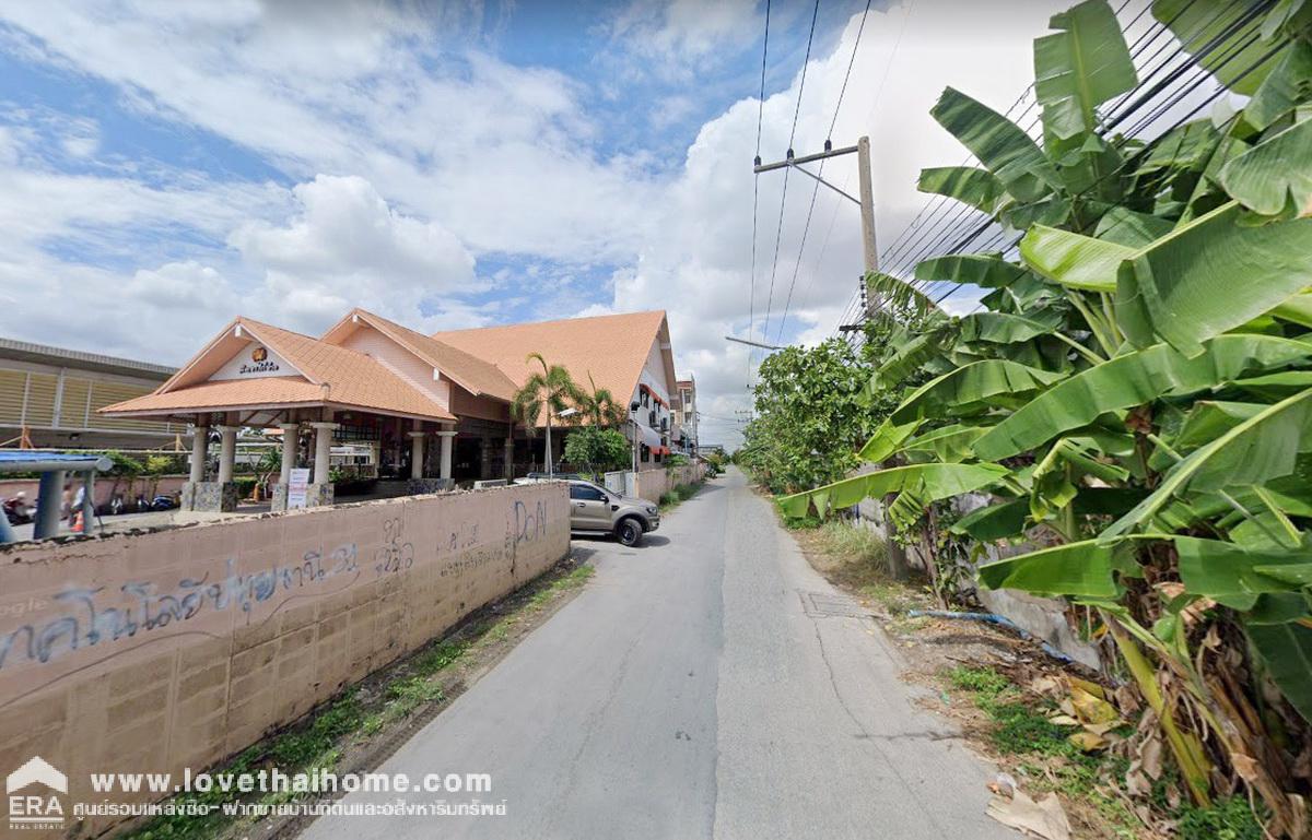 ขายที่ดิน รังสิต-คลอง2 ถนนรังสิต-นครนายก55 พื้นที่59ตรว. ขายถูกกว่าราคาประเมิน ใกล้ฟิวเจอร์พาร์ค รังสิต
