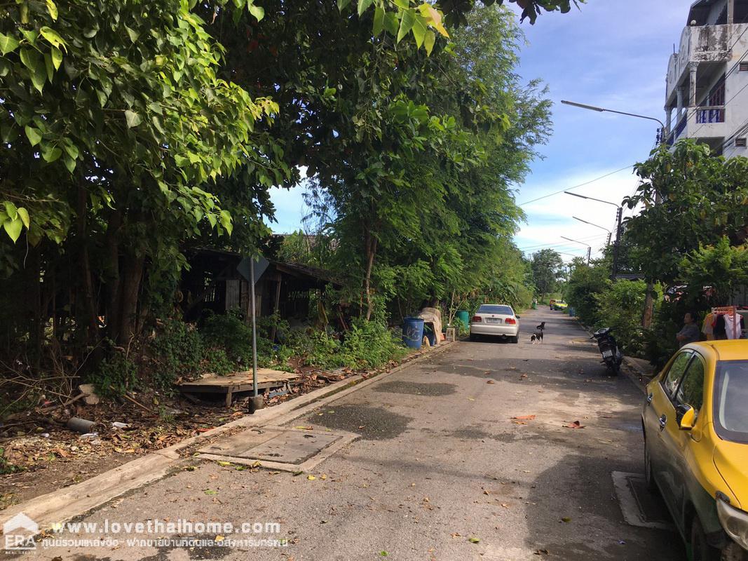 ขายที่ดิน รังสิต-คลอง2 ถนนรังสิต-นครนายก55 พื้นที่59ตรว. ขายถูกกว่าราคาประเมิน ใกล้ฟิวเจอร์พาร์ค รังสิต