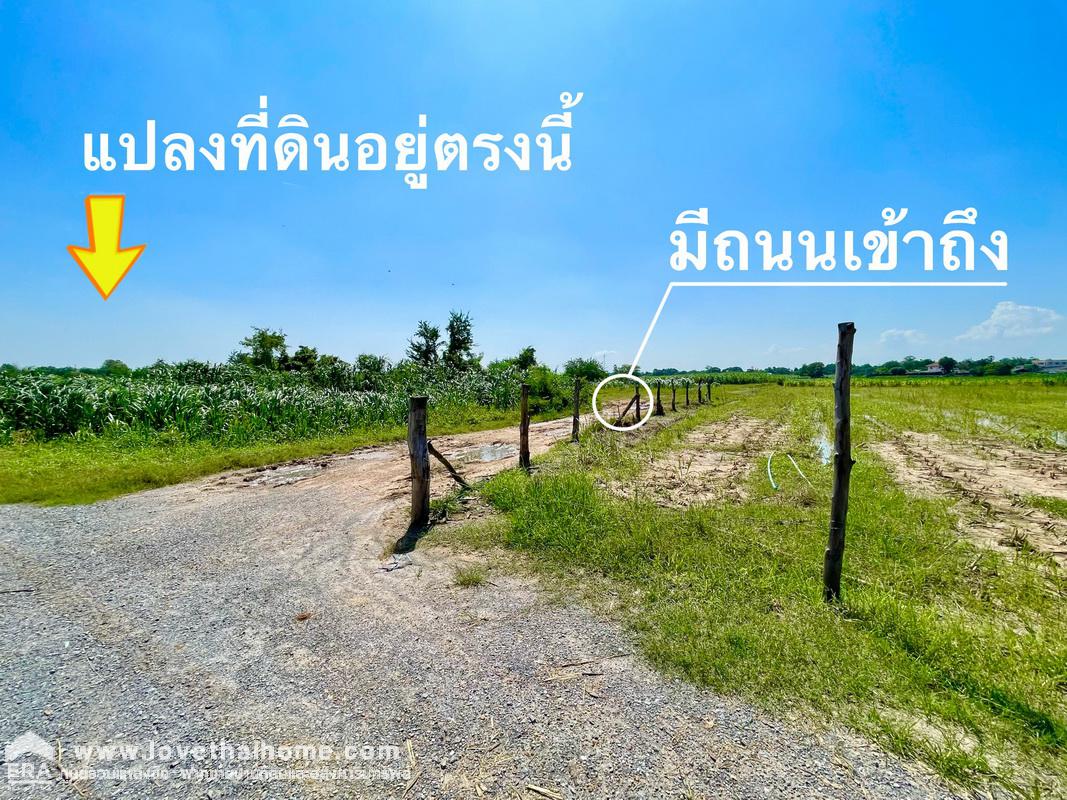 ขายที่ดิน กำแพงแสน นครปฐม ถ.ดำรงพล ต.ทุ่งกระพังโหม พื้นที่107ตรว. ใกล้สนามยิงปืนกำแพงแสน 2 กม. เหมาะสำหรับซื้อไว้เพื่อปลูกบ้านพักอาศัย