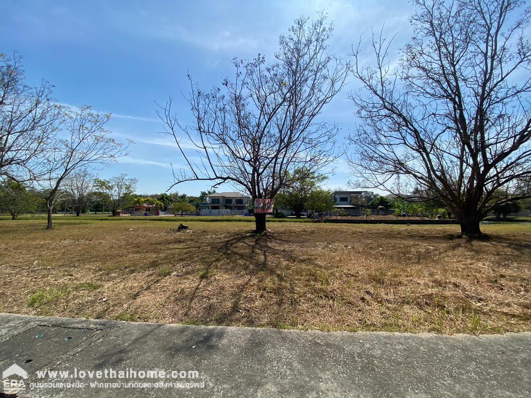 ขายที่ดิน ม.เดอะลากูน3 ถ.ปทุมธานี-สามโคก-เสนา ท้ายเกาะ สามโคก ปทุมธานี พื้นที่99ตรว. ใกล้ตลาดโรงเกลือท้ายเกาะ