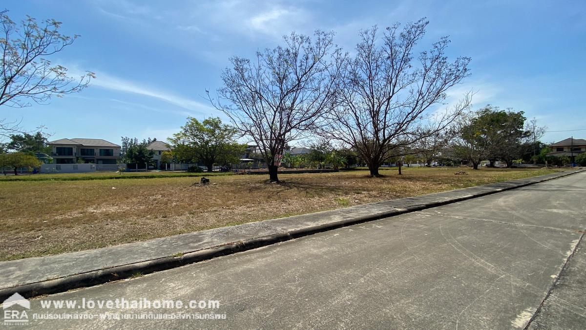 ขายที่ดิน ม.เดอะลากูน3 ถ.ปทุมธานี-สามโคก-เสนา ท้ายเกาะ สามโคก ปทุมธานี พื้นที่99ตรว. ใกล้ตลาดโรงเกลือท้ายเกาะ