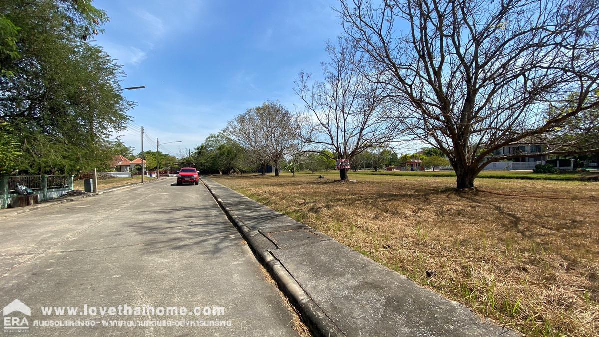 ขายที่ดิน ม.เดอะลากูน3 ถ.ปทุมธานี-สามโคก-เสนา ท้ายเกาะ สามโคก ปทุมธานี พื้นที่99ตรว. ใกล้ตลาดโรงเกลือท้ายเกาะ