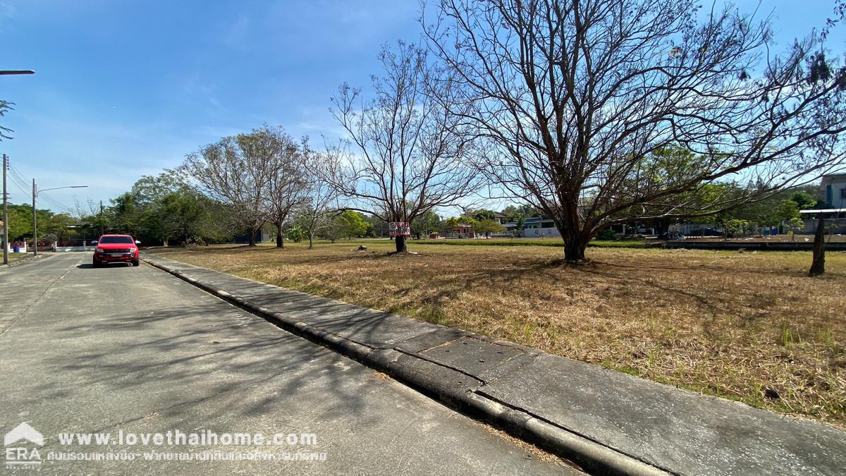 ขายที่ดิน ม.เดอะลากูน3 ถ.ปทุมธานี-สามโคก-เสนา ท้ายเกาะ สามโคก ปทุมธานี พื้นที่99ตรว. ใกล้ตลาดโรงเกลือท้ายเกาะ