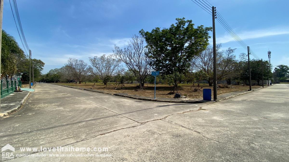 ขายที่ดิน ม.เดอะลากูน3 ถ.ปทุมธานี-สามโคก-เสนา ท้ายเกาะ สามโคก ปทุมธานี พื้นที่99ตรว. ใกล้ตลาดโรงเกลือท้ายเกาะ