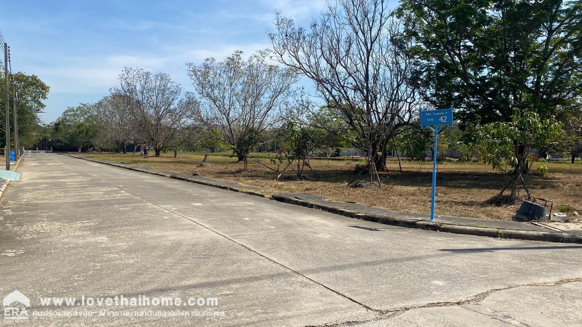 ขายที่ดิน ม.เดอะลากูน3 ถ.ปทุมธานี-สามโคก-เสนา ท้ายเกาะ สามโคก ปทุมธานี พื้นที่99ตรว. ใกล้ตลาดโรงเกลือท้ายเกาะ