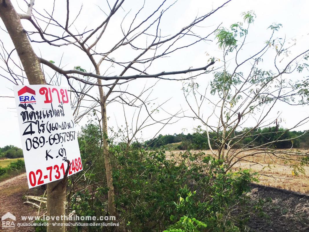 ขายที่ดิน ซ.คลองสาม11/23 ถ.เลียบคลองสาม ฝั่งตะวันตก 4 ไร่ ติดกับคลองแอน (L) คลองหลวง ปทุมธานี โฉนดปลอดภาระพร้อมโอน