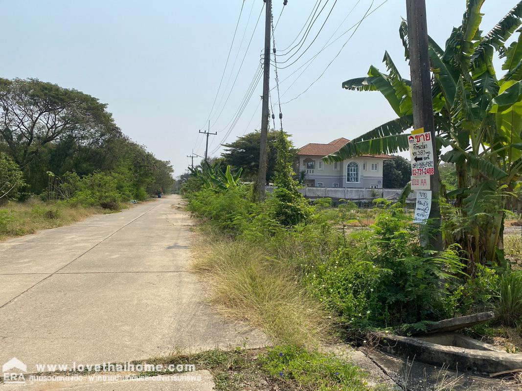 ขายที่ดิน หมู่บ้านทองธัชการ พื้นที่383ตรว. ขายถูกต่ำกว่าราคาประเมิน แปลงสวยติดบึง หันหน้าไปทางทิศตะวันออกเฉียงเหนือ