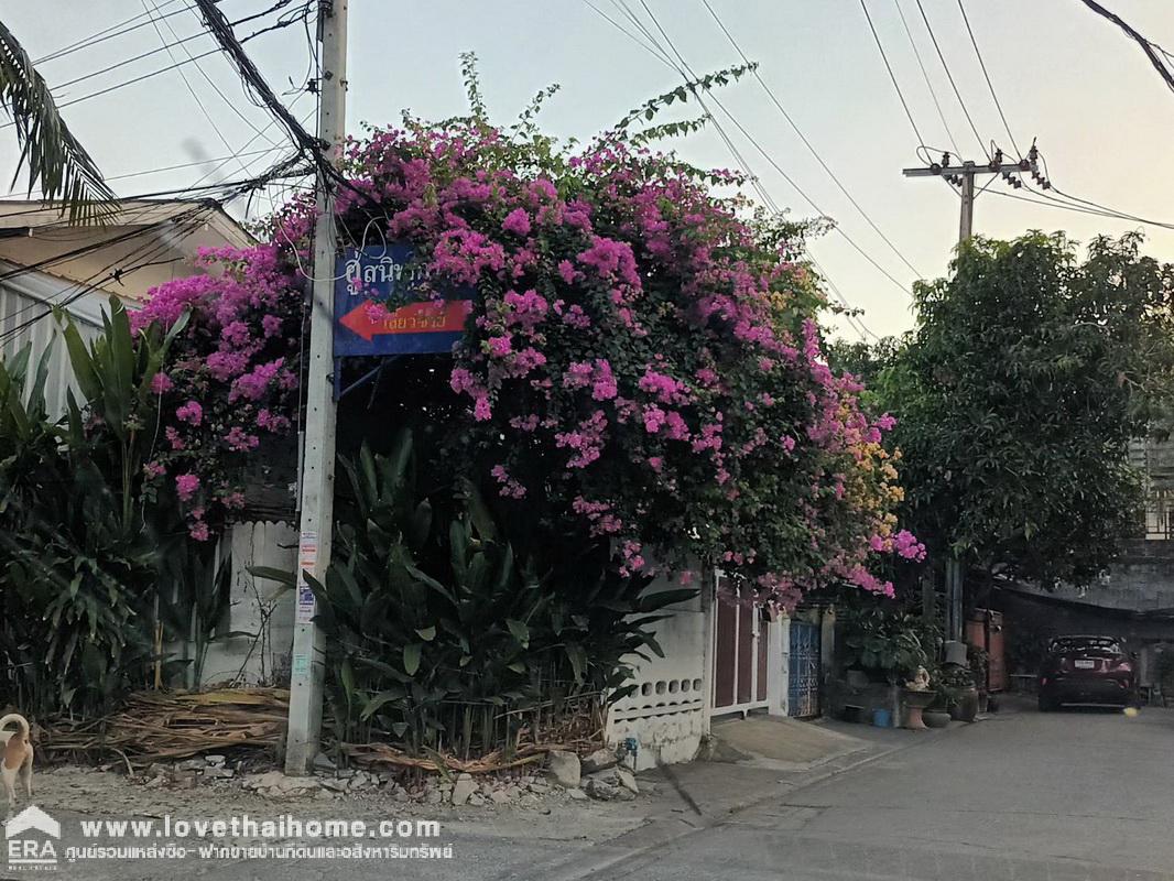 ขายที่ดิน ซ.ลาซาล 36 ถ.สุขุมวิท 105 ตรงข้ามกับโรงเรียนบางกอกพัฒนา พื้นที่ 112 ตรว. แปลงงาน (ล้อมรั้วสังกะสีสีม่วงอยู่) ใกล้รถไฟฟ้าสายสีเขียวสุขุมวิท และสายสีเหลืองศรีนครินทร์