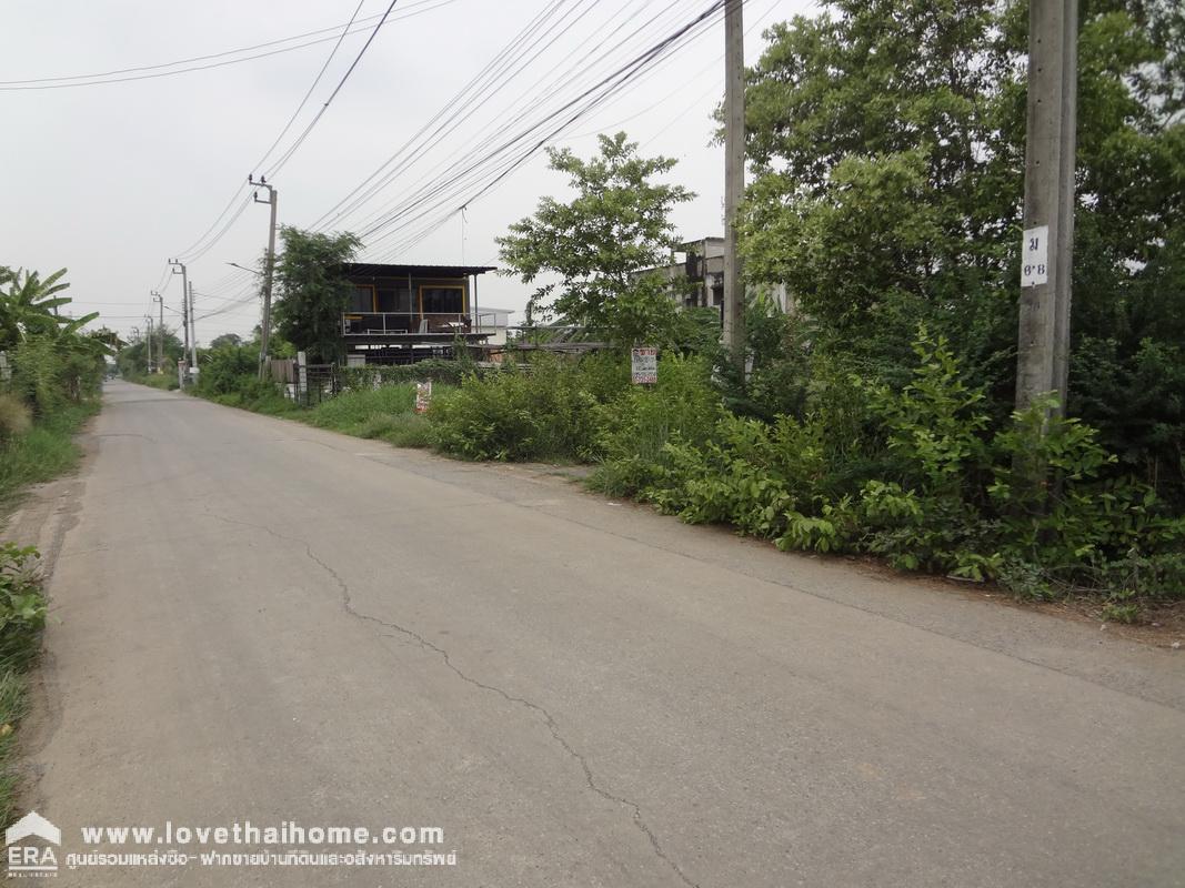 ขายที่ดินจัดสรร ถนนเลียบวารี59-สุวินทวงศ์ หนองจอก พื้นที่90ตารางวา ทำเลดี ใกล้ห้างบิ๊กซี,แม็คโคร เหมาะปลูกบ้าน