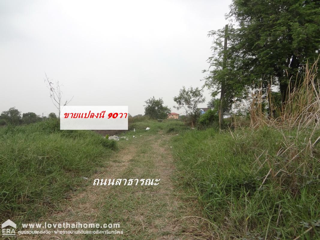ขายที่ดินจัดสรร ถนนเลียบวารี59-สุวินทวงศ์ หนองจอก พื้นที่90ตารางวา ทำเลดี ใกล้ห้างบิ๊กซี,แม็คโคร เหมาะปลูกบ้าน