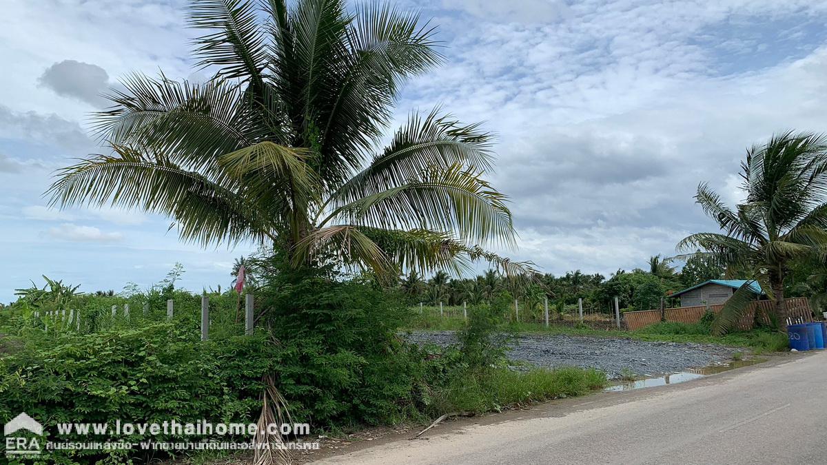 ขายที่ดิน 2 ไร่ คลองตัน บ้านแพ้ว สมุทรสาคร อยู่ละแวกประตูน้ำบางยาง และวัดสวนส้ม ราคาถูก เหมาะสำหรับลงทุน