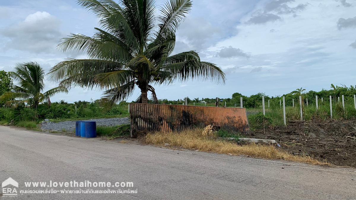 ขายที่ดิน 2 ไร่ คลองตัน บ้านแพ้ว สมุทรสาคร อยู่ละแวกประตูน้ำบางยาง และวัดสวนส้ม ราคาถูก เหมาะสำหรับลงทุน