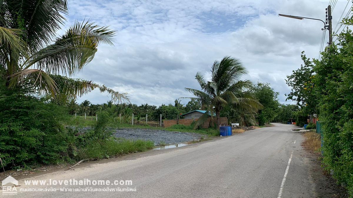 ขายที่ดิน 2 ไร่ คลองตัน บ้านแพ้ว สมุทรสาคร อยู่ละแวกประตูน้ำบางยาง และวัดสวนส้ม ราคาถูก เหมาะสำหรับลงทุน