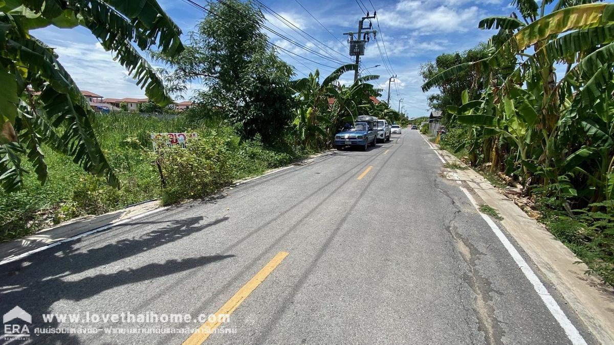 ขายที่ดิน ถนนลำโพ ซอย51 พื้นที่ 200 ตรว. แปลงสวย ติดถนนซอย ราคาถูกในย่านนั้น เหมาะสำหรับลงทุน 