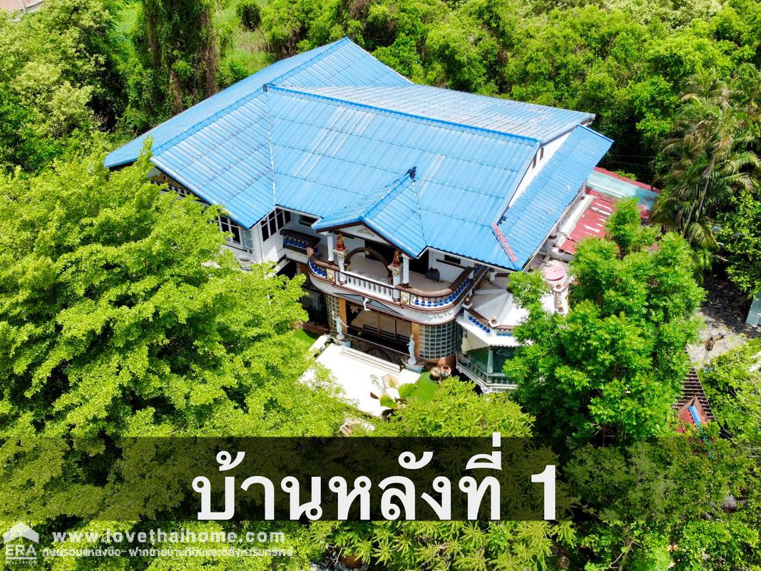 ขายที่ดินพร้อมบ้าน 2 หลัง เมืองปทุมธานี ต.สวนพริกไทย ในพื้นที่ 4-2-88 ไร่ ใกล้สนามขี่ม้าอังรีดูนังต์ จอดรถภายในบ้านได้ 6-7 คัน
