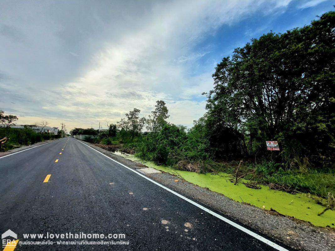 ขายที่ดิน คลองเจ็ด ปทุมธานี พื้นที่ 803 ตรว. แปลงสวย ราคาถูก พื้นที่สีแดง เหมาะทำโรงงาน คลังสินค้า ใกล้คลังบิ๊กซี ซุปเปอร์เซ็นเตอร์