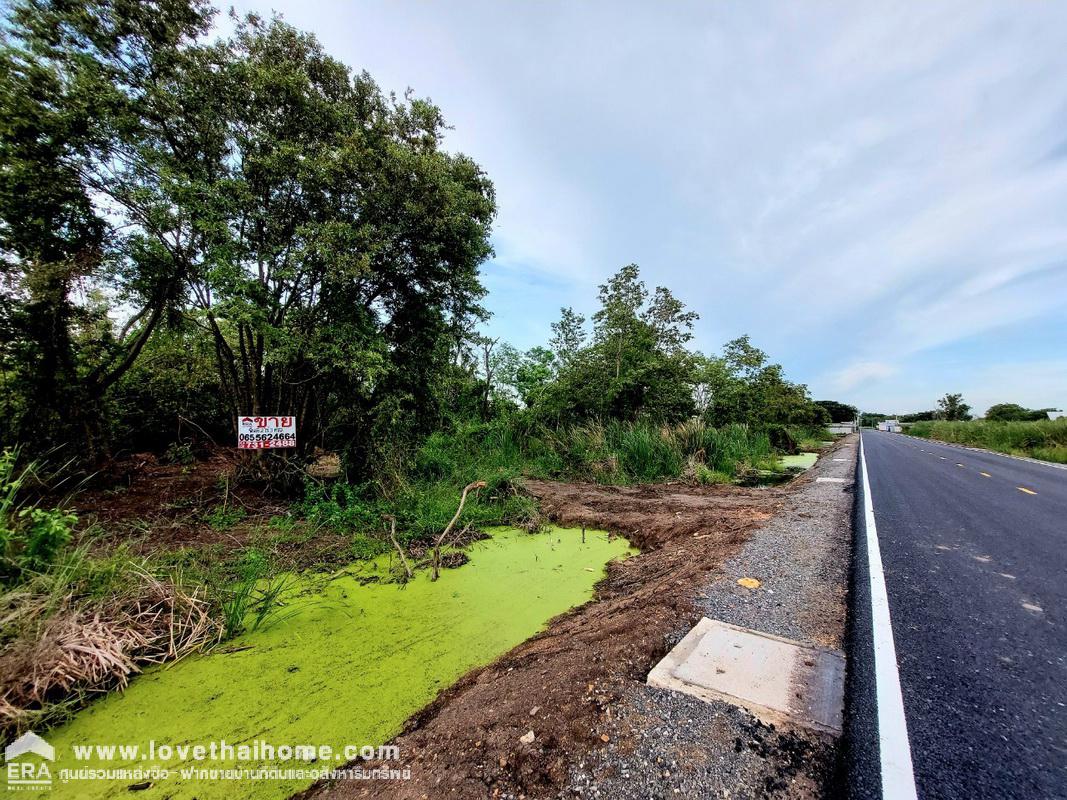 ขายที่ดิน คลองเจ็ด ปทุมธานี พื้นที่ 803 ตรว. แปลงสวย ราคาถูก พื้นที่สีแดง เหมาะทำโรงงาน คลังสินค้า ใกล้คลังบิ๊กซี ซุปเปอร์เซ็นเตอร์