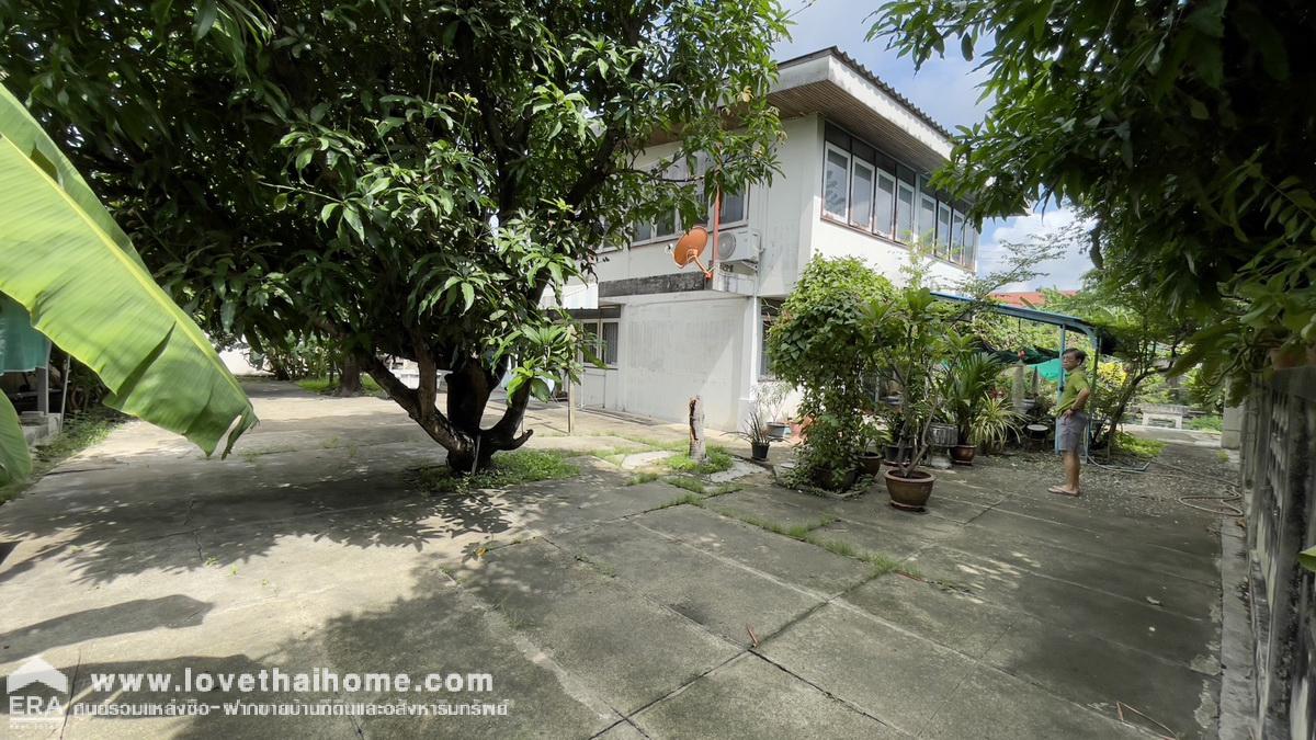 ขายที่ดิน ซอยติวานนท์48 (ซอยสถิตย์ยุทธการ1) พื้นที่ 268 ตรว. ขาย 38,000/ตรว. ราคาถูกมาก ห่างจากถนนใหญ่ เพียง 400 เมตร ใกล้รถไฟฟ้าสายสีชมพู สถานีสามัคคี