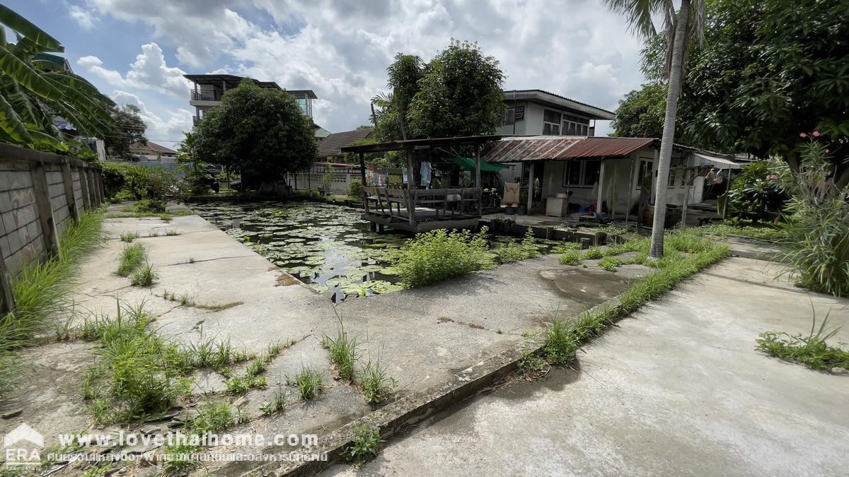 ขายที่ดิน ซอยติวานนท์48 (ซอยสถิตย์ยุทธการ1) พื้นที่ 268 ตรว. ขาย 38,000/ตรว. ราคาถูกมาก ห่างจากถนนใหญ่ เพียง 400 เมตร ใกล้รถไฟฟ้าสายสีชมพู สถานีสามัคคี