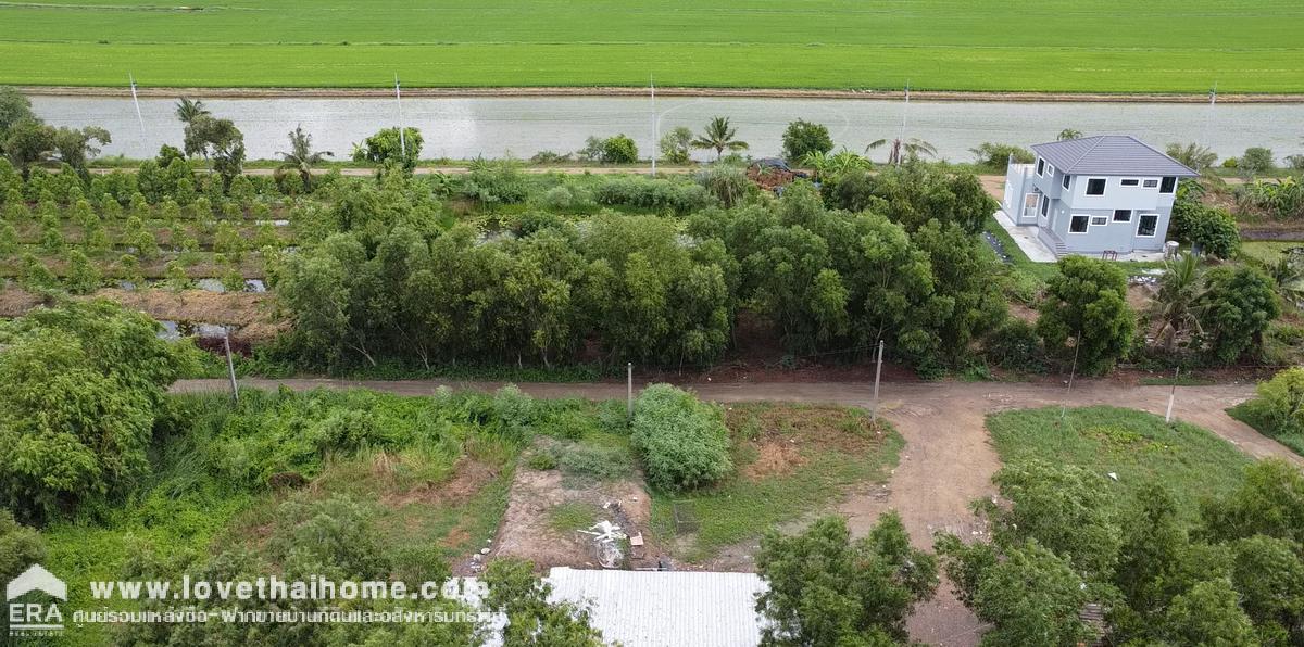 ขายด่วนที่ดินจัดสรร ถ.คลองเก้า-ลำหิน หนองจอก พื้นที่ 32 ตรว. ต้องการขายด่วน ต่อรองได้ อยู่ในซอยตรงข้าม บริษัทพูนสุชน จำกัด