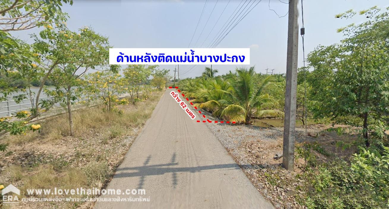 ขายที่ดินติดแม่น้ำบางปะกง ถ.วนะภูติ ต.ปากน้ำ(โจ้โล้) บางคล้า ฉะเชิงเทรา 10-2-23 ไร่ ติดถนนคอนกรีต สาธารณะ 3 ด้าน ใกล้บ้านสวนป่าริมน้ำ โฮมสเตย์