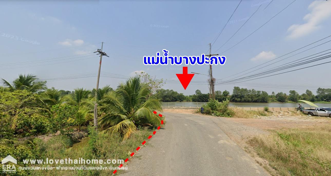 ขายที่ดินติดแม่น้ำบางปะกง ถ.วนะภูติ ต.ปากน้ำ(โจ้โล้) บางคล้า ฉะเชิงเทรา 10-2-23 ไร่ ติดถนนคอนกรีต สาธารณะ 3 ด้าน ใกล้บ้านสวนป่าริมน้ำ โฮมสเตย์