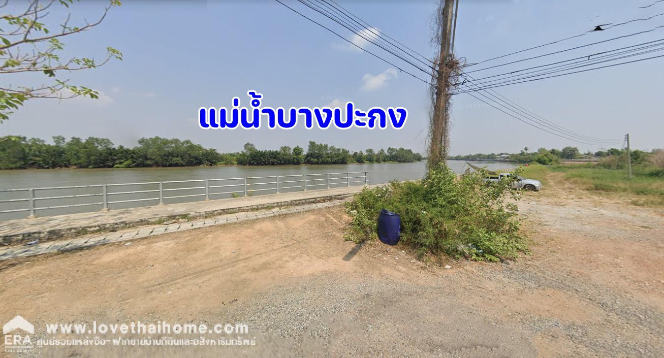 ขายที่ดินติดแม่น้ำบางปะกง ถ.วนะภูติ ต.ปากน้ำ(โจ้โล้) บางคล้า ฉะเชิงเทรา 10-2-23 ไร่ ติดถนนคอนกรีต สาธารณะ 3 ด้าน ใกล้บ้านสวนป่าริมน้ำ โฮมสเตย์