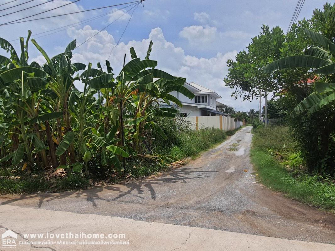 ขายที่ดิน ถ.พุทธมณฑลสาย 2 ย่านภาษีเจริญ พื้นที่ 79.7 ตรว. รูปสี่เหลี่ยมคางหมู ที่ดินแปลงมุม ติดถนนสาธารณะ 2 ด้าน อยู่ในย่านชุมชน เหมาะสำหรับปลูกบ้านอยู่อาศัย