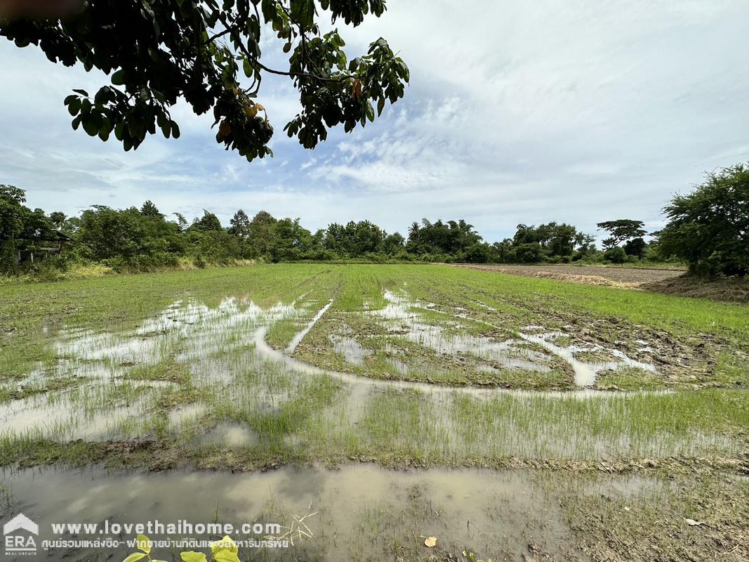 ขายที่ดิน ตำบลศิลา ถ.เลี่ยงเมืองขอนแก่น ใกล้โรงเรียนบ้านศิลา พื้นที่ 6-3-84.6 ไร่ ท้ายคลองซอย ที่ดินผืนสวย เหมาะแก่การลงทุน