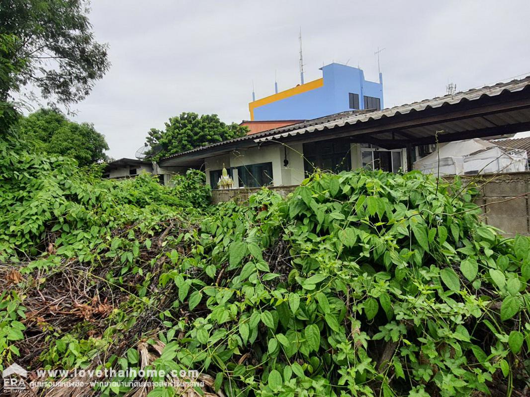 ขายที่ดินย่านหนองแขม ถ.เลียบคลองภาษีเจริญฝั่งเหนือ 14 ถมแล้ว พื้นที่ 80 ตรว. รูปสี่เหลี่ยมผืนผ้า เหมาะสร้างบ้าน