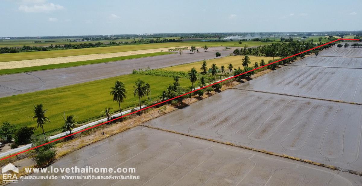 ขายที่ดินเทศบาลสามเมือง ลาดบัวหลวง อยุธยา 98-1-52 ไร่ ติดคลองส่งน้ำทั้งสองด้าน เป็นที่นา ต้องการขายด่วน ราคาต่อรองได้ 