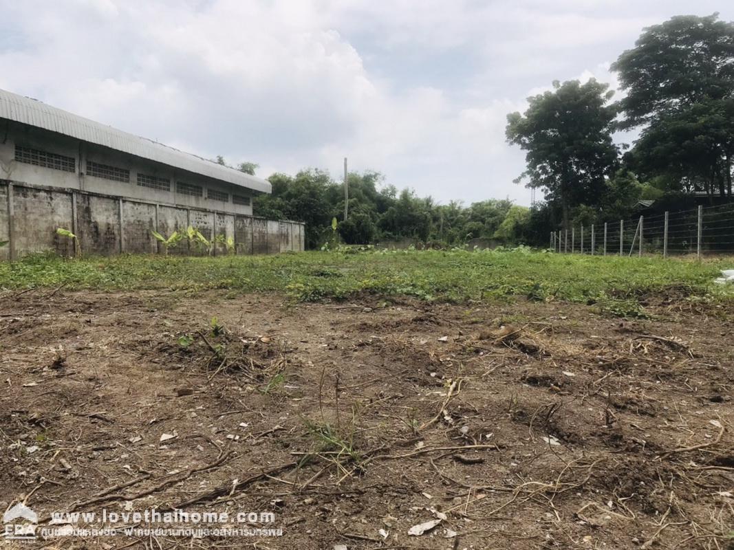 ขายที่ดินหมู่บ้านชวนชมปาร์ควิลล์ สามโคก ซ.วัดตระพัง-คลองเรือ ปทุมธานี พื้นที่ 250 ตรว. ที่ดินถมแล้ว ราคาต่อรองได้