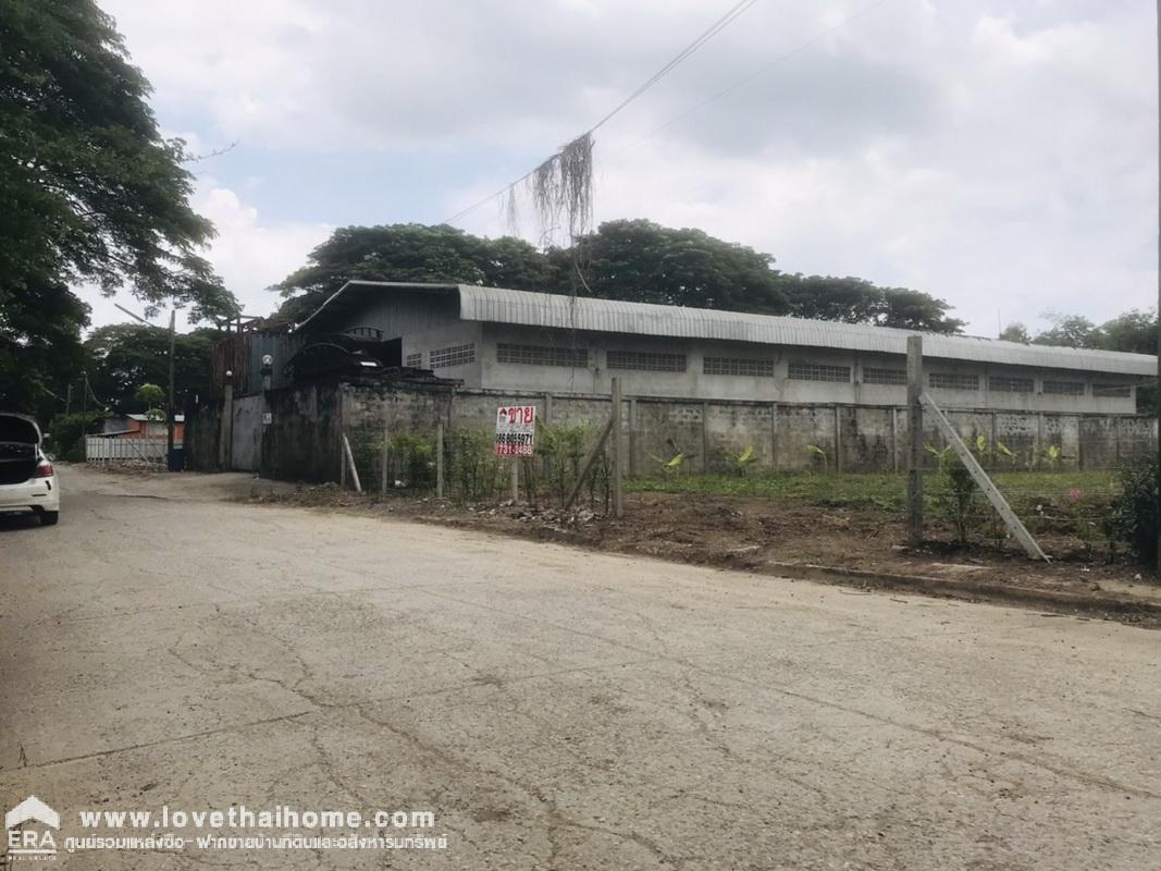 ขายที่ดินหมู่บ้านชวนชมปาร์ควิลล์ สามโคก ซ.วัดตระพัง-คลองเรือ ปทุมธานี พื้นที่ 250 ตรว. ที่ดินถมแล้ว ราคาต่อรองได้