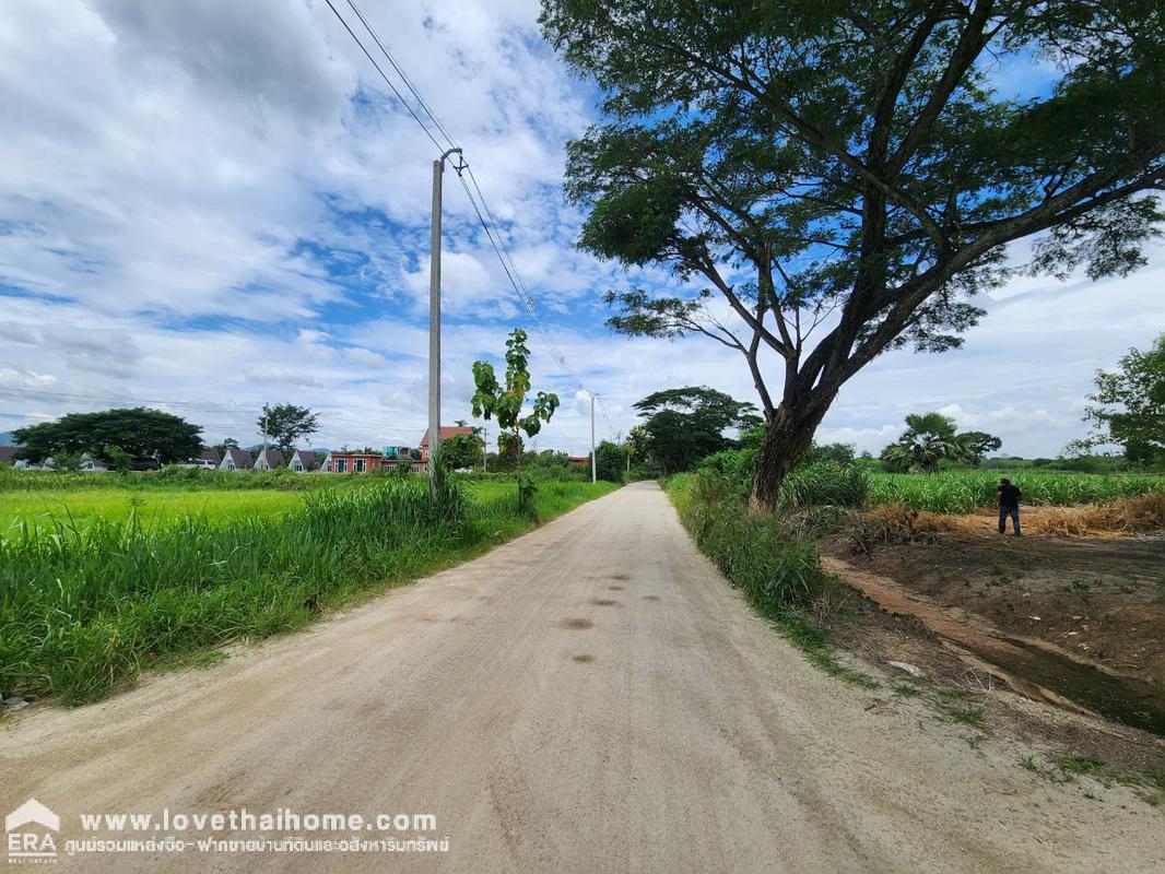 ขายที่ดินปากช่อง นครราชสีมา ตำบลขนงพระ ตรงข้ามบ้านสวนตาแรม พื้นที่ 5-0-13 ไร่ ใกล้สนามกอล์ฟ แรนโชชาญวีร์ รีสอร์ท แอนด์ คันทรี คลับ