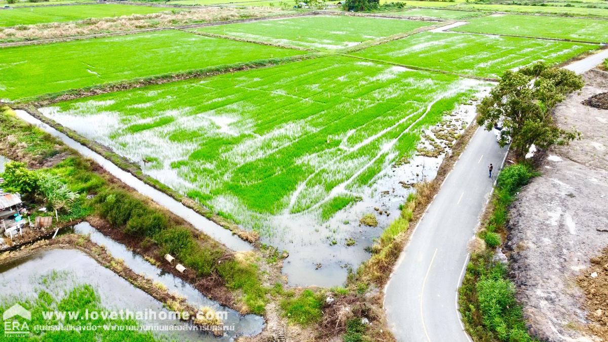 ขายที่ดินบางใหญ่ ซอยวัดพระเงิน นนทบุรี พื้นที่ 145 ตรว. ติดถนนคอนกรีต กว้าง 5 เมตร ที่ดินอยู่ในแหล่งชุมชน เหมาะซื้อเพื่อทำบ้านพักอาศัย