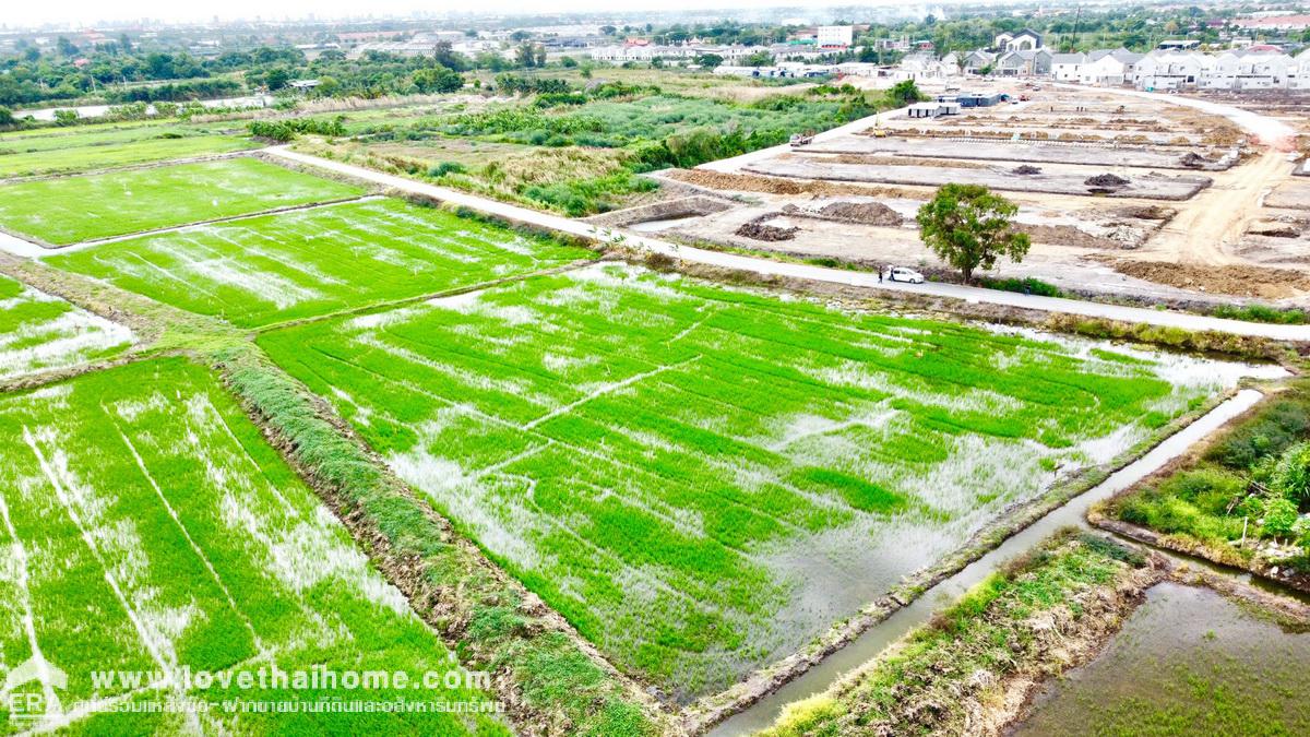 ขายที่ดินบางใหญ่ ซอยวัดพระเงิน นนทบุรี พื้นที่ 145 ตรว. ติดถนนคอนกรีต กว้าง 5 เมตร ที่ดินอยู่ในแหล่งชุมชน เหมาะซื้อเพื่อทำบ้านพักอาศัย