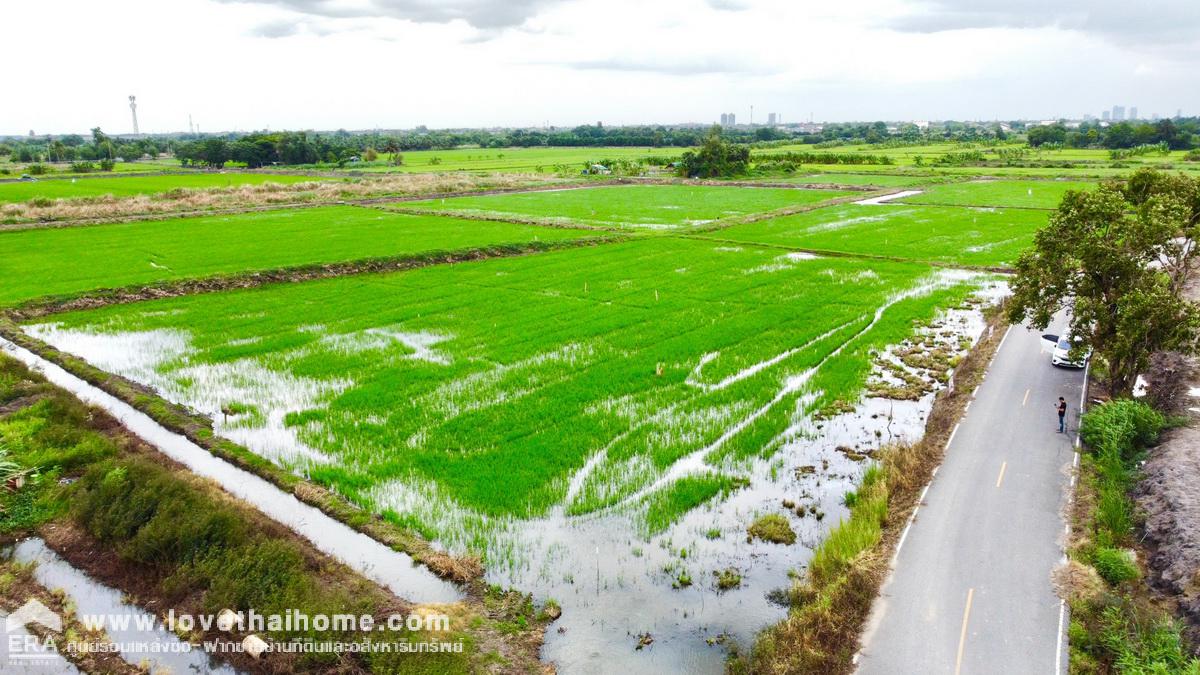 ขายที่ดินบางใหญ่ ซอยวัดพระเงิน นนทบุรี พื้นที่ 145 ตรว. ติดถนนคอนกรีต กว้าง 5 เมตร ที่ดินอยู่ในแหล่งชุมชน เหมาะซื้อเพื่อทำบ้านพักอาศัย