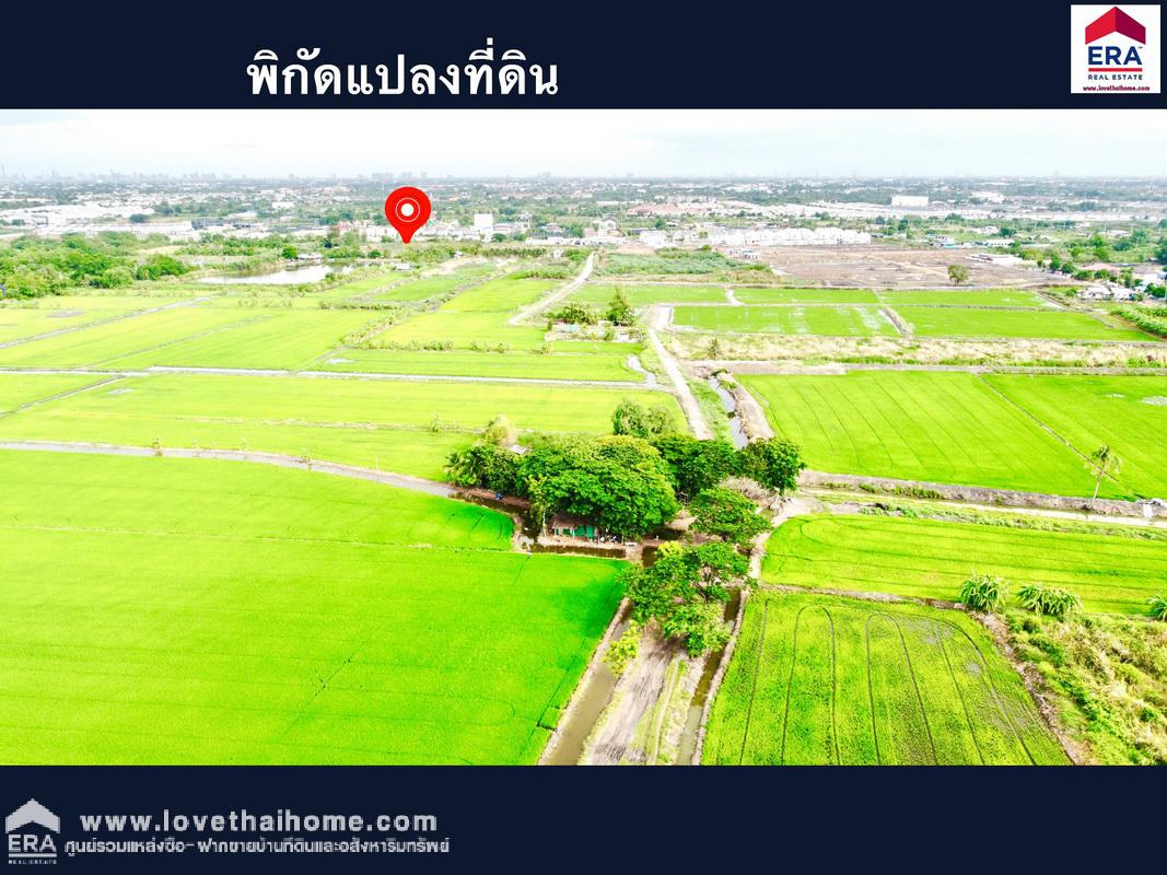 ขายที่ดินบางใหญ่ นนทบุรี ซอยวัดพระเงิน พื้นที่ 75 ตรว. เหมาะทำสวนเกษตร 