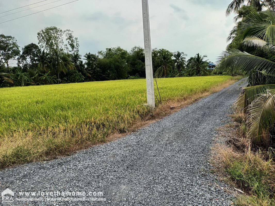 ขายที่ดินบางน้ำเปรี้ยว ฉะเชิงเทรา ต.บึงน้ำรักษ์ พื้นที่ 50-2-45 ไร่ แปลงสวย ติดถนน 2 ด้าน ถนนเลียบคลอง 15 และคลอง 16 แบ่งขายได้ ราคาพิเศษจองด่วน