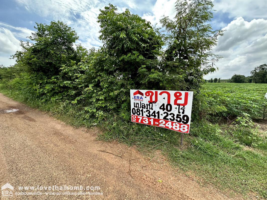 ขายที่ดินใกล้ฟาร์มคลองรั้ง 1 ปราจีนบุรี ถนนฉะเชิงเทรา-กบินทร์บุรี (304) ท่าตูม ศรีมหาโพธิ์ พื้นที่ 40 ไร่ 