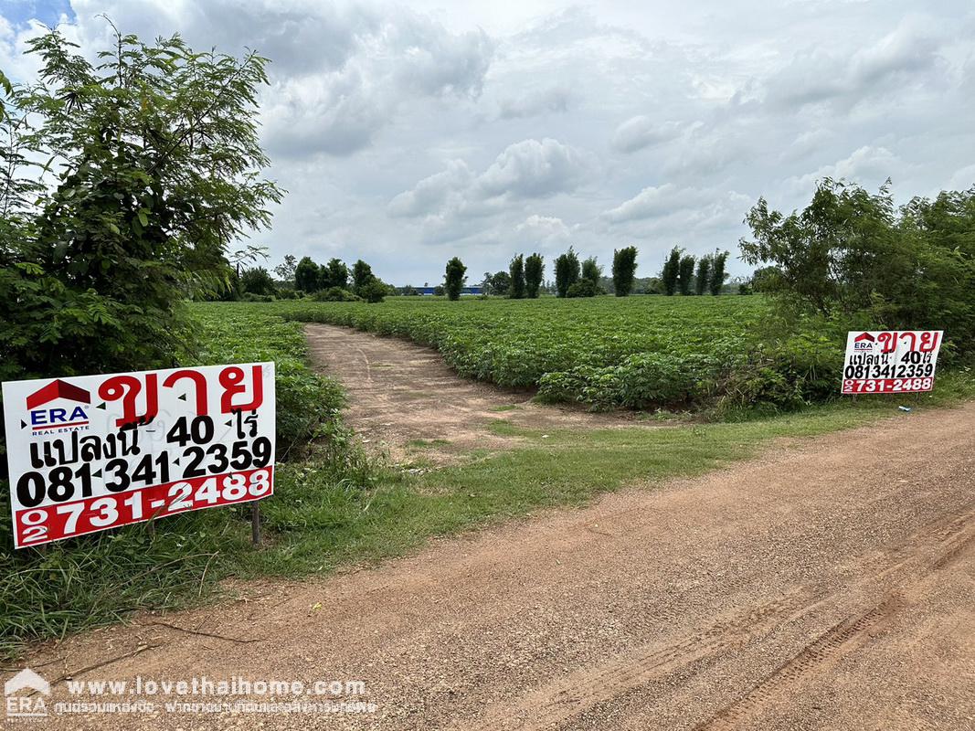 ขายที่ดินใกล้ฟาร์มคลองรั้ง 1 ปราจีนบุรี ถนนฉะเชิงเทรา-กบินทร์บุรี (304) ท่าตูม ศรีมหาโพธิ์ พื้นที่ 40 ไร่ 