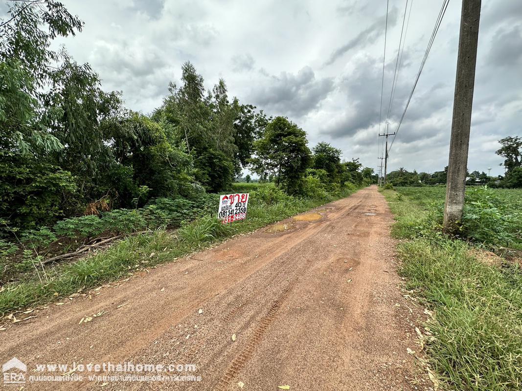 ขายที่ดินใกล้ฟาร์มคลองรั้ง 1 ปราจีนบุรี ถนนฉะเชิงเทรา-กบินทร์บุรี (304) ท่าตูม ศรีมหาโพธิ์ พื้นที่ 40 ไร่ 