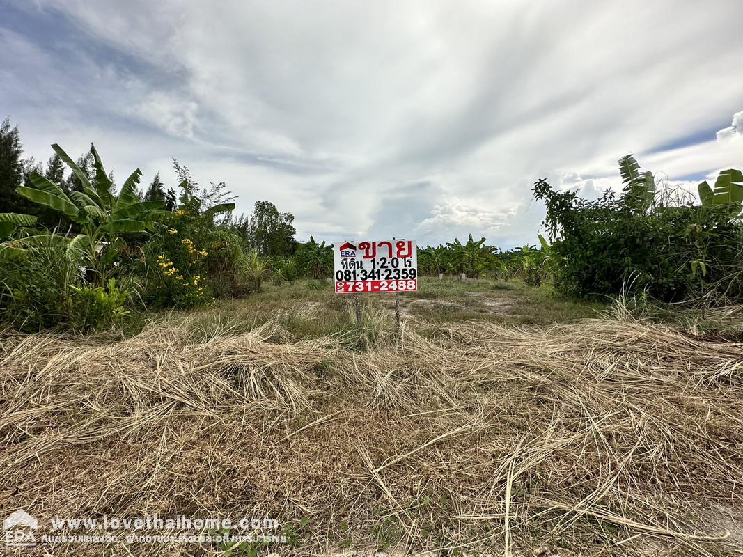 ขายที่ดินชะอำ เพชรบุรี ต.ไร่ใหม่พัฒนา ถ.โยธาธิการ บ้านโป่งเก้งพัฒนา หมู่ที่ 8 พื้นที่ 1-2-0 ไร่ เหมาะสร้างที่อยู่อาศัย