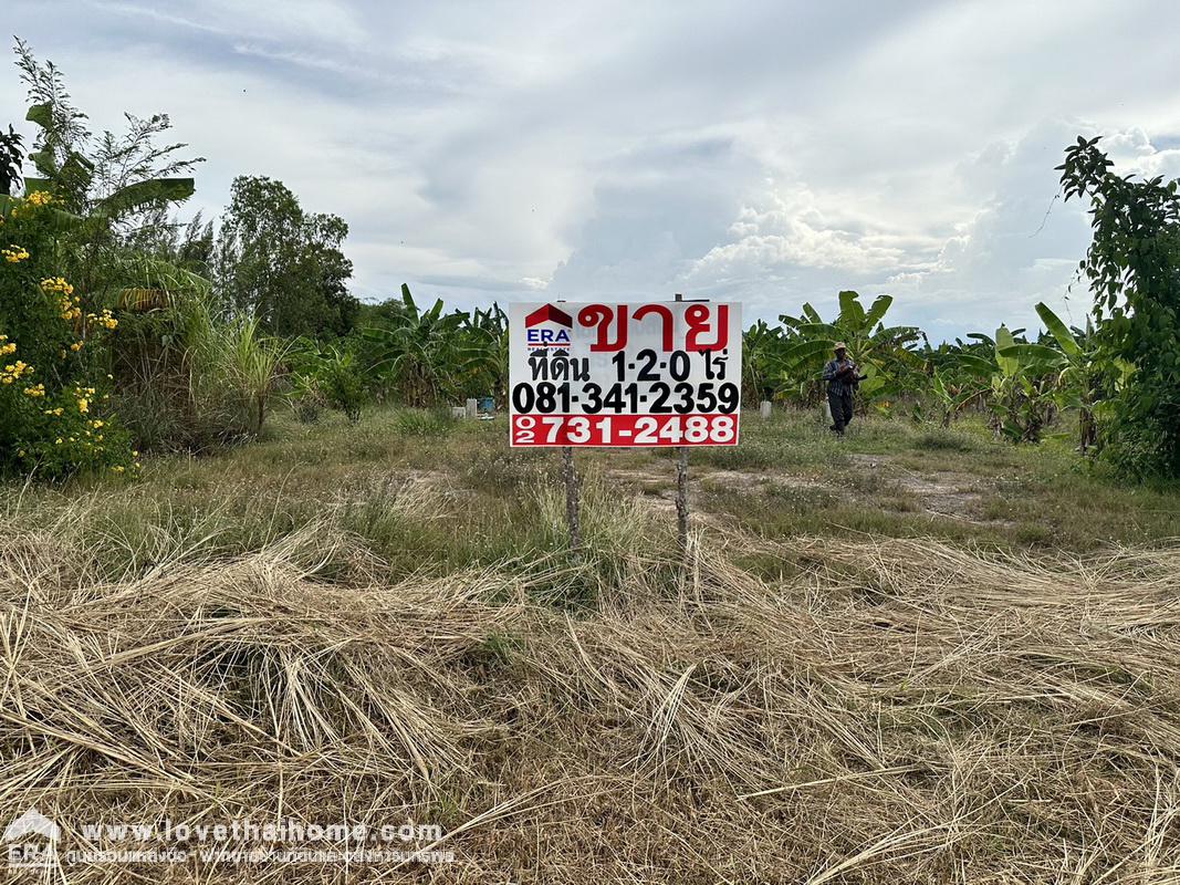 ขายที่ดินชะอำ เพชรบุรี ต.ไร่ใหม่พัฒนา ถ.โยธาธิการ บ้านโป่งเก้งพัฒนา หมู่ที่ 8 พื้นที่ 1-2-0 ไร่ เหมาะสร้างที่อยู่อาศัย