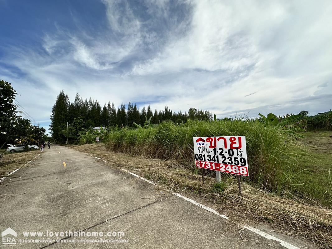 ขายที่ดินชะอำ เพชรบุรี ต.ไร่ใหม่พัฒนา ถ.โยธาธิการ บ้านโป่งเก้งพัฒนา หมู่ที่ 8 พื้นที่ 1-2-0 ไร่ เหมาะสร้างที่อยู่อาศัย