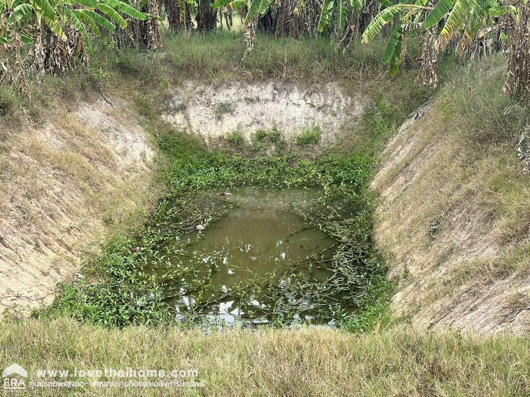 ขายที่ดินชะอำ เพชรบุรี ต.ไร่ใหม่พัฒนา ถ.โยธาธิการ บ้านโป่งเก้งพัฒนา หมู่ที่ 8 พื้นที่ 1-2-0 ไร่ เหมาะสร้างที่อยู่อาศัย