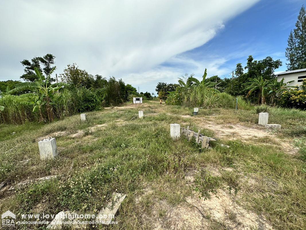 ขายที่ดินชะอำ เพชรบุรี ต.ไร่ใหม่พัฒนา ถ.โยธาธิการ บ้านโป่งเก้งพัฒนา หมู่ที่ 8 พื้นที่ 1-2-0 ไร่ เหมาะสร้างที่อยู่อาศัย