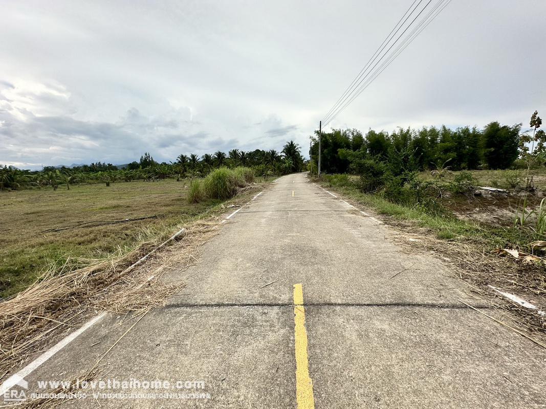 ขายที่ดินชะอำ เพชรบุรี ต.ไร่ใหม่พัฒนา ถ.โยธาธิการ บ้านโป่งเก้งพัฒนา หมู่ที่ 8 พื้นที่ 1-2-0 ไร่ เหมาะสร้างที่อยู่อาศัย